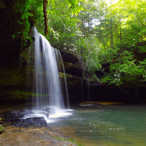 Waterfall in the Sipsey Wilderness