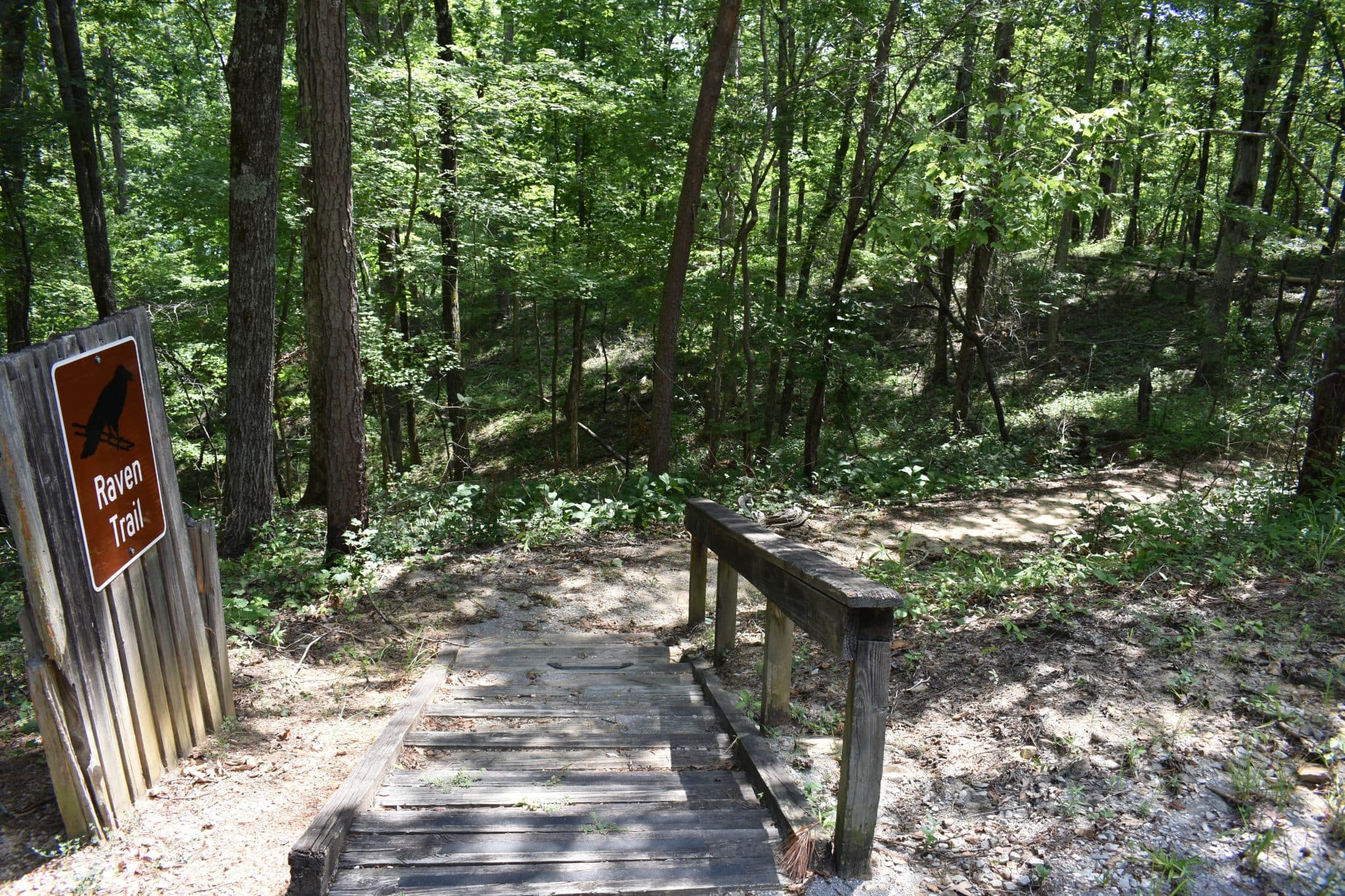 Beautiful recreation area