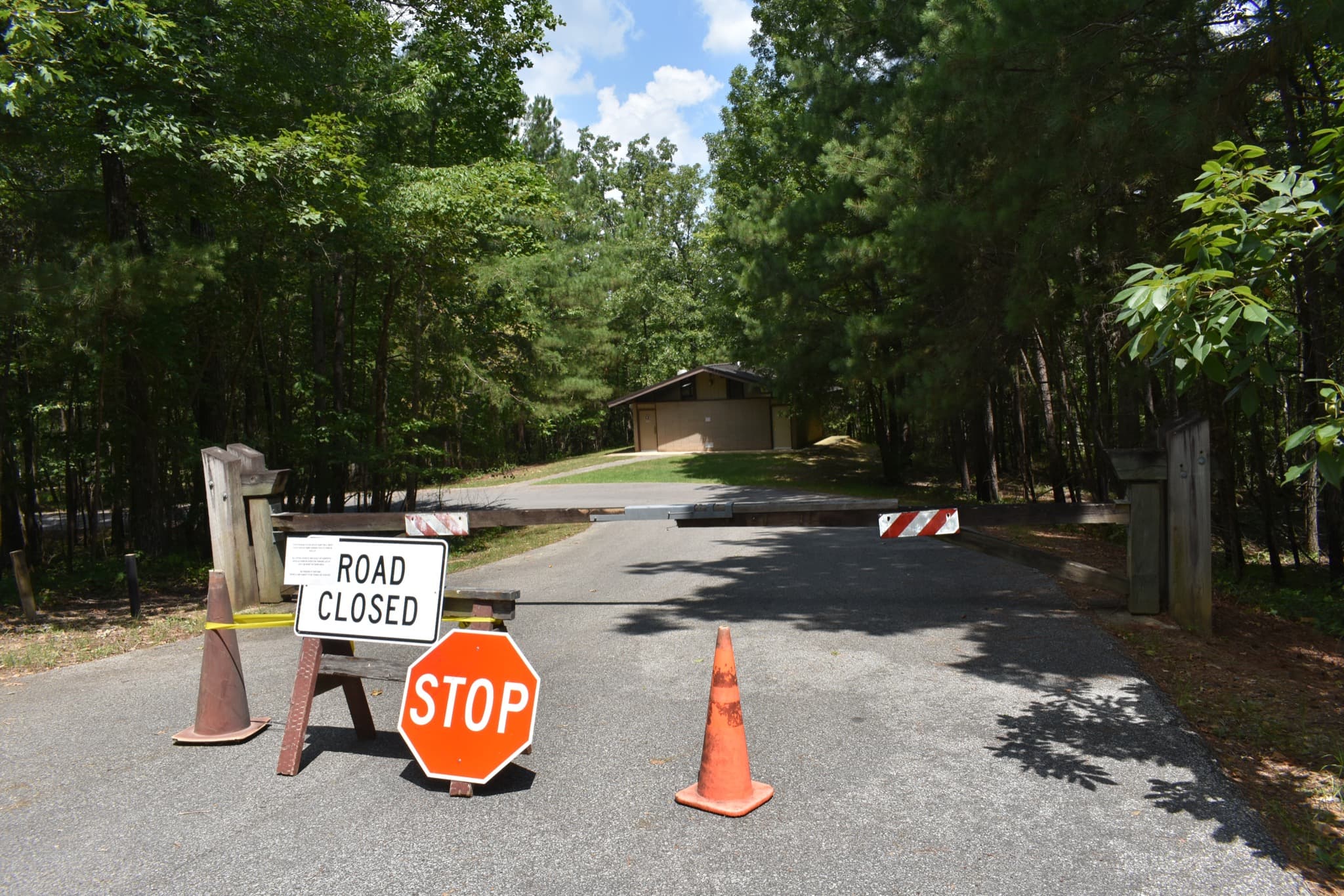 Group camping at Clear Creek