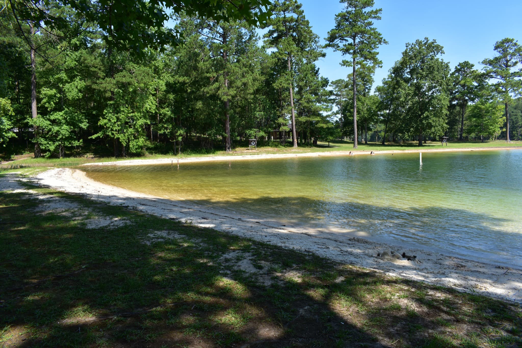 Swimming beach on Lewis Smith Lake