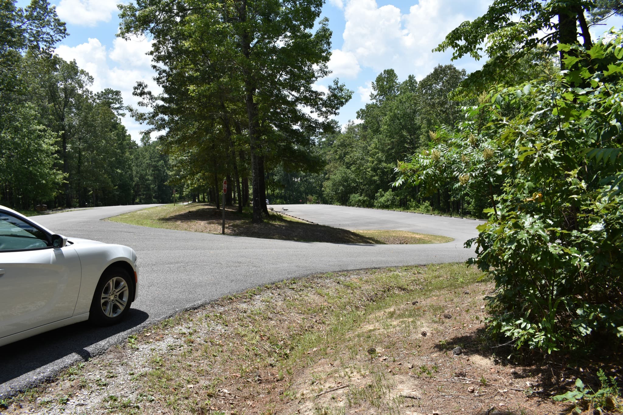 Swimming beach at Corinth
