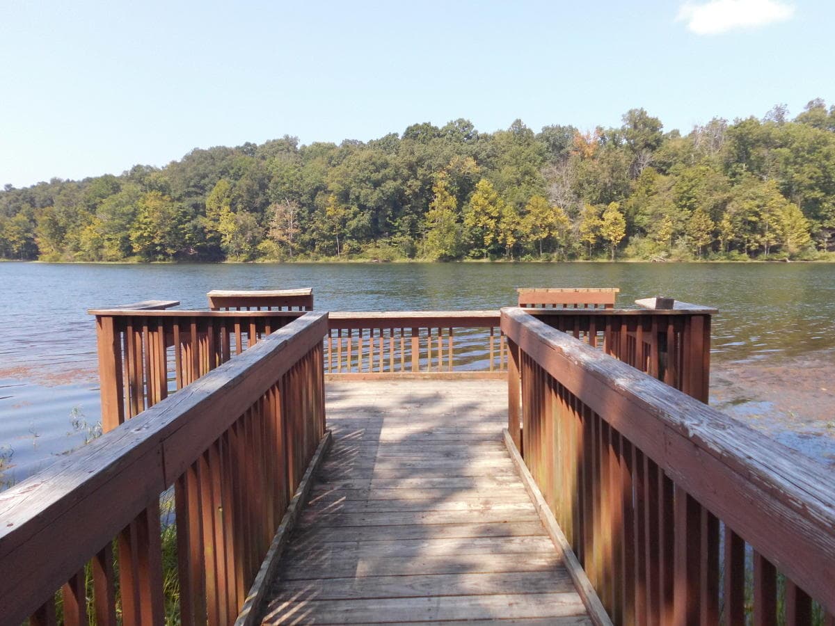 Scenic lake view from fishing pier