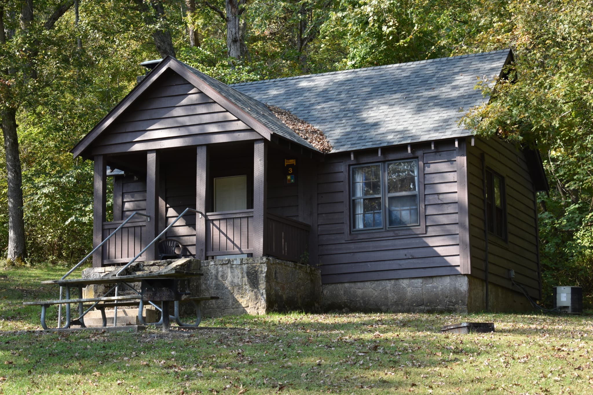 Cabin surrounded by Ozark forest
