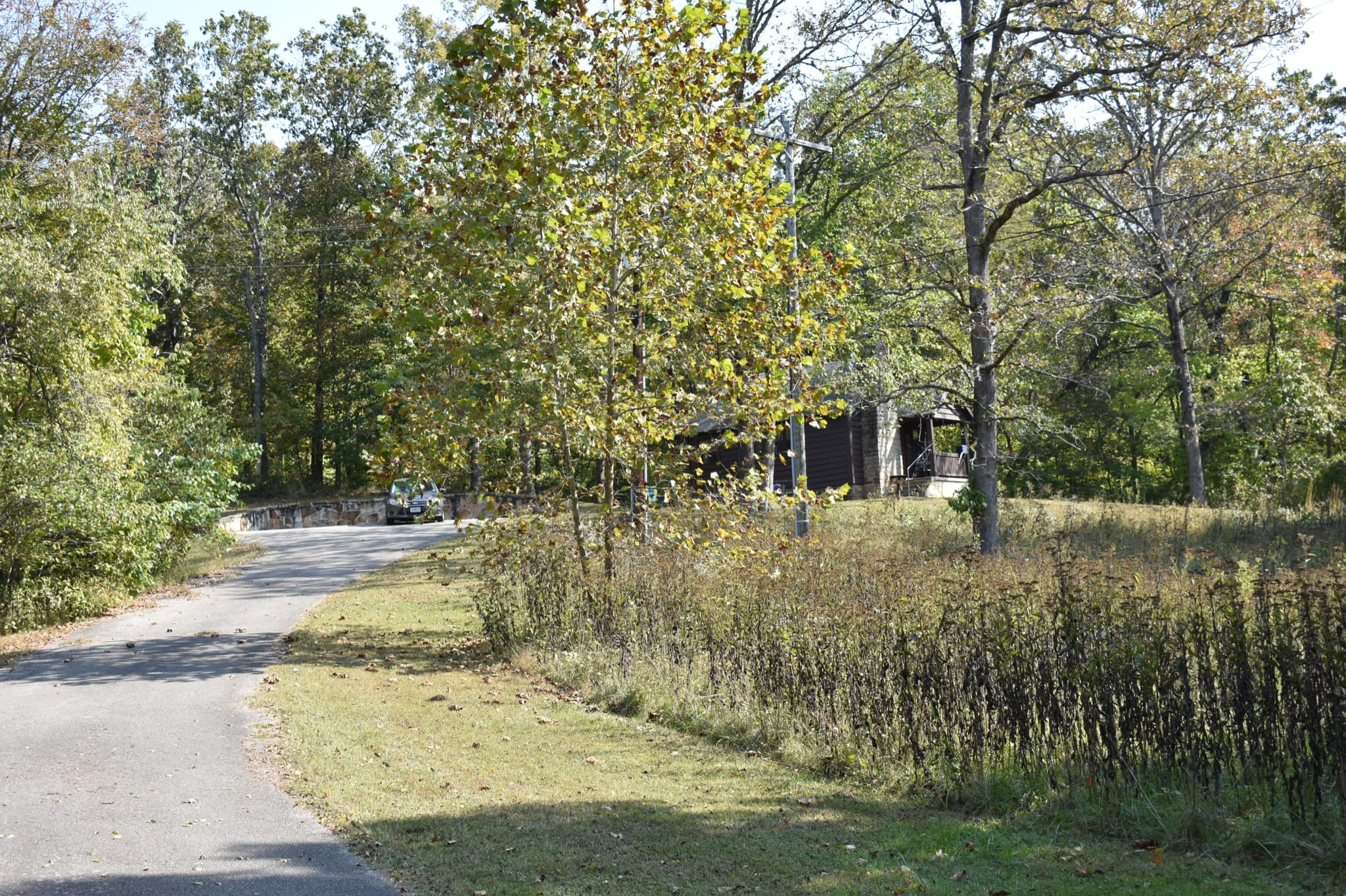 Cabin with wooded setting