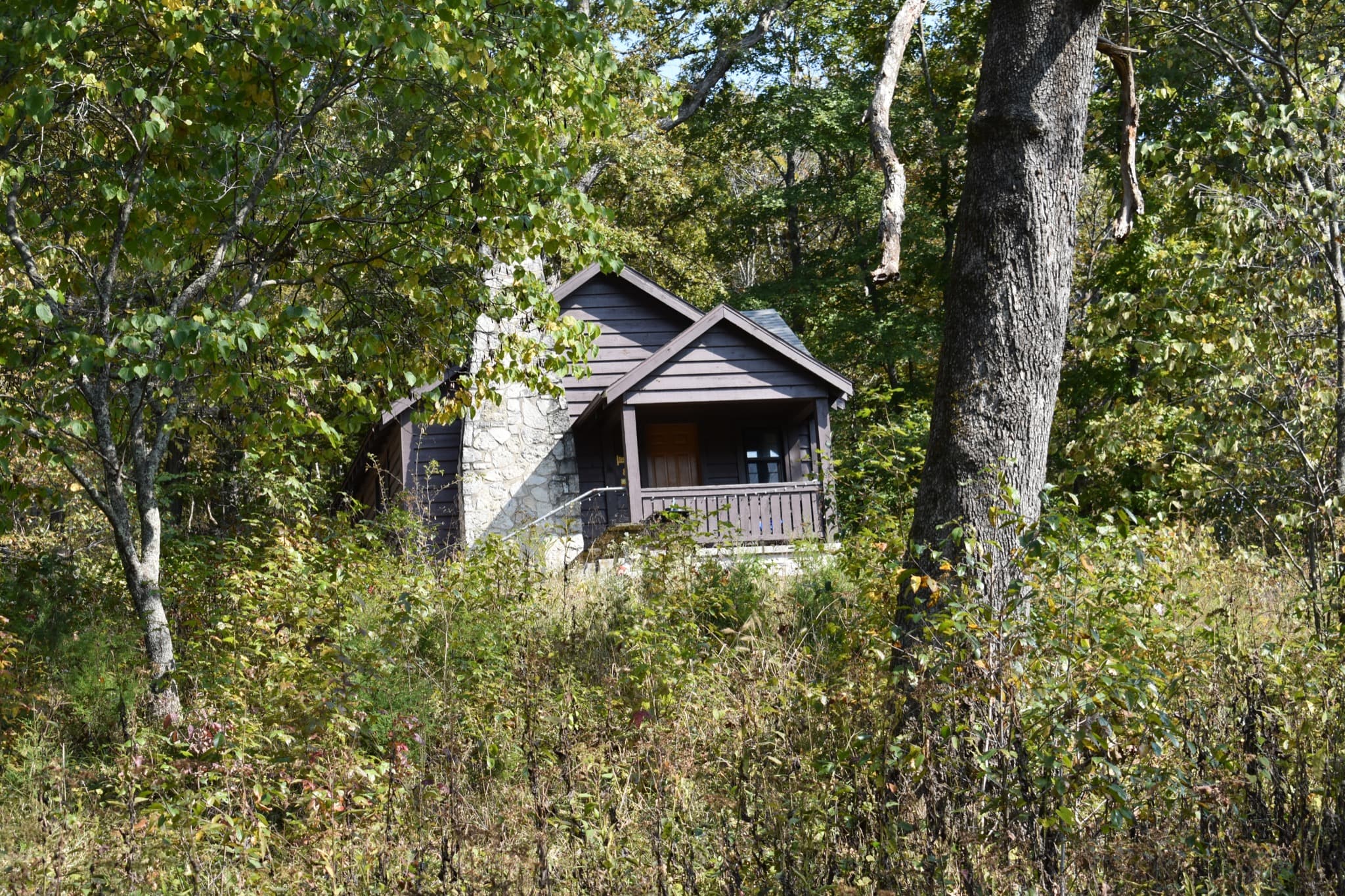 Park cabin in autumn