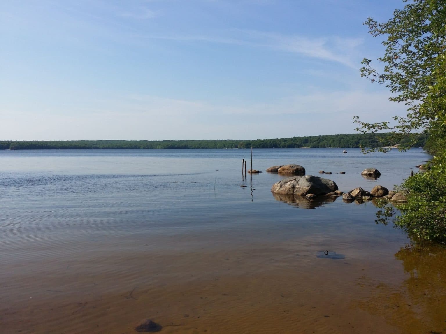Camping at Burlingame