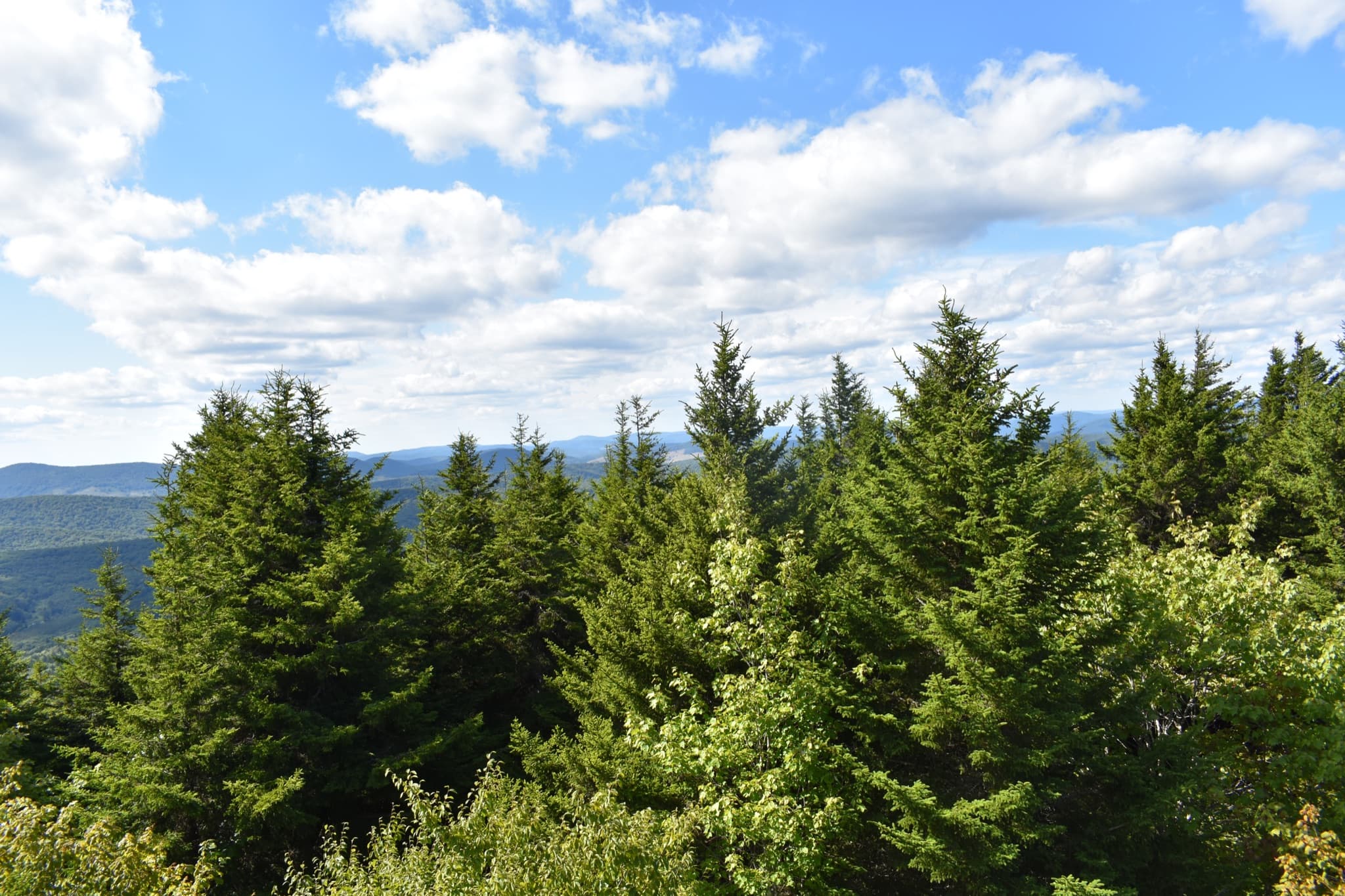 Jess Judy Group Campground